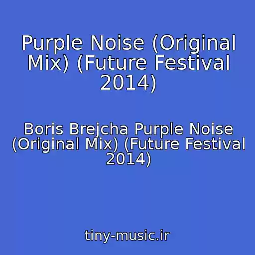 کاور آهنگ Purple Noise (Original Mix) (Future Festival 2014) از Boris Brejcha Purple Noise (Original Mix) (Future Festival 2014)