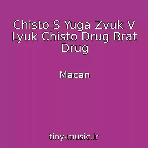 کاور آهنگ Chisto S Yuga Zvuk V Lyuk Chisto Drug Brat Drug از Macan