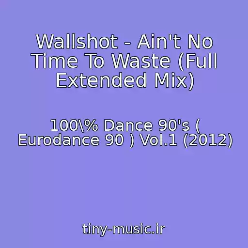 کاور آهنگ Wallshot - Ain't No Time To Waste (Full Extended Mix) از 100\% Dance 90's ( Eurodance 90 ) Vol.1 (2012)