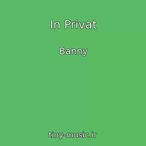 کاور آهنگ In Privat از Banny