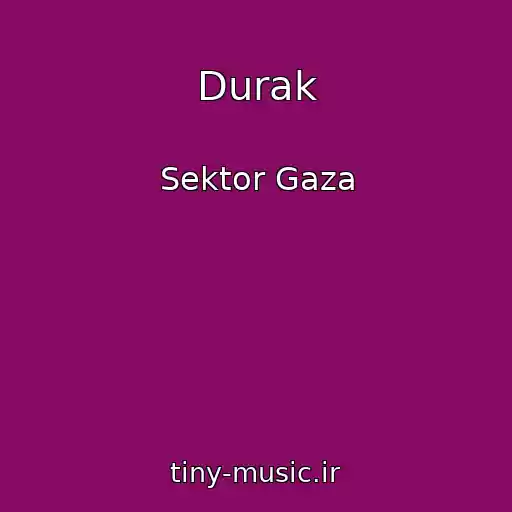 کاور آهنگ Durak از Sektor Gaza