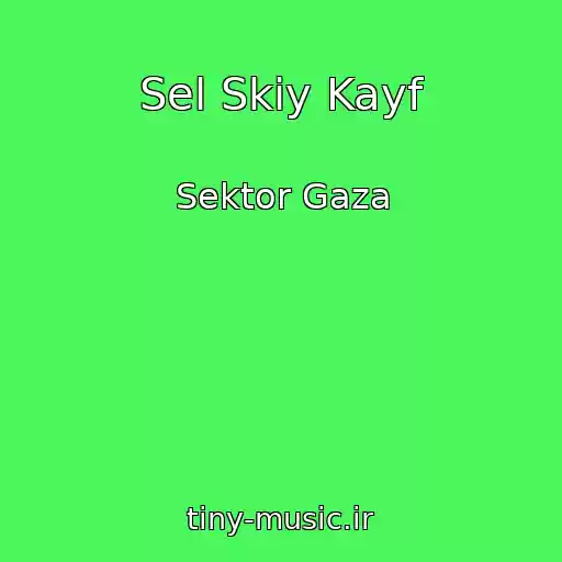 کاور آهنگ Sel Skiy Kayf از Sektor Gaza