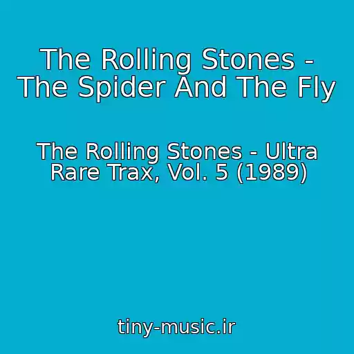 کاور آهنگ The Rolling Stones - The Spider And The Fly از The Rolling Stones - Ultra Rare Trax, Vol. 5 (1989)
