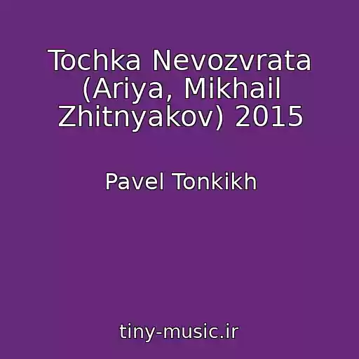 کاور آهنگ Tochka Nevozvrata (Ariya, Mikhail Zhitnyakov) 2015 از Pavel Tonkikh