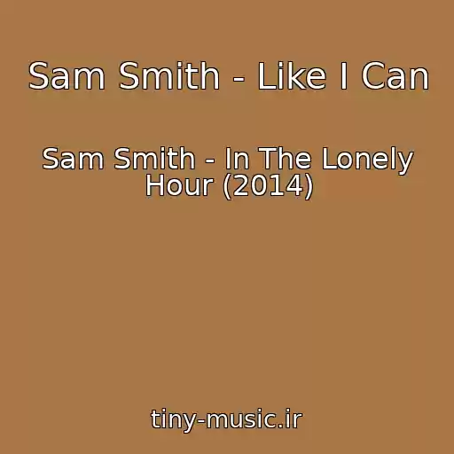 کاور آهنگ Sam Smith - Like I Can از Sam Smith - In The Lonely Hour (2014)