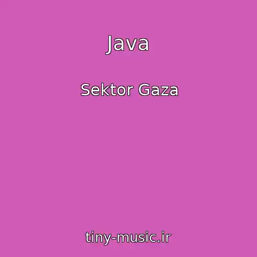 کاور آهنگ Java از Sektor Gaza