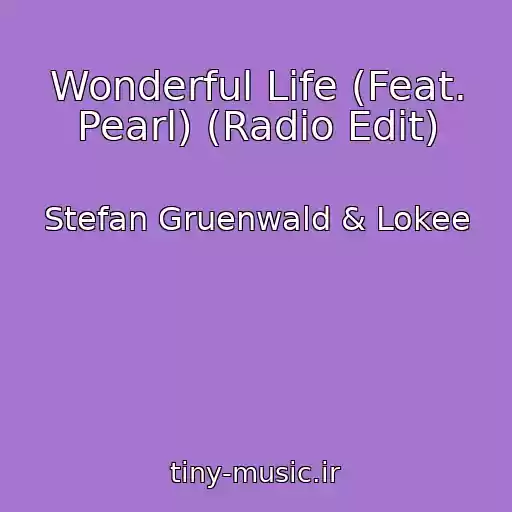 کاور آهنگ Wonderful Life (Feat. Pearl) (Radio Edit) از Stefan Gruenwald & Lokee