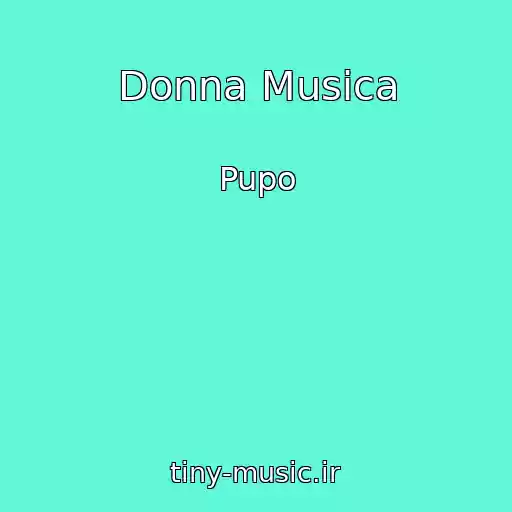 کاور آهنگ Donna Musica از Pupo