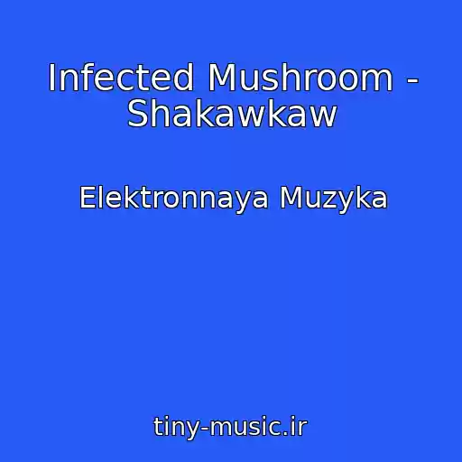 کاور آهنگ Infected Mushroom - Shakawkaw از Elektronnaya Muzyka