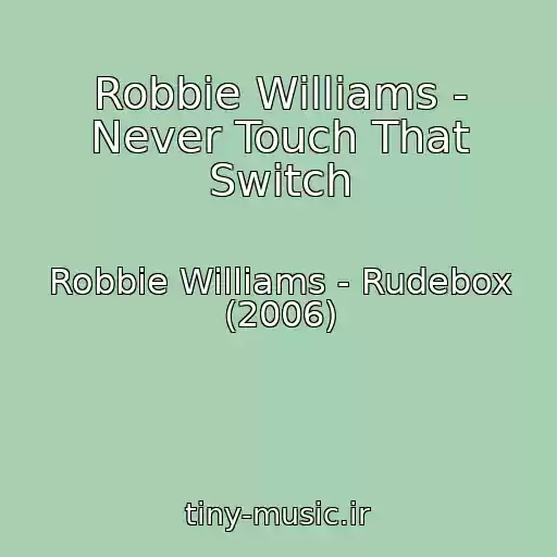 کاور آهنگ Robbie Williams - Never Touch That Switch از Robbie Williams - Rudebox (2006)