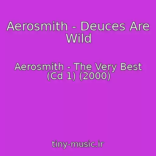 کاور آهنگ Aerosmith - Deuces Are Wild از Aerosmith - The Very Best (Cd 1) (2000)