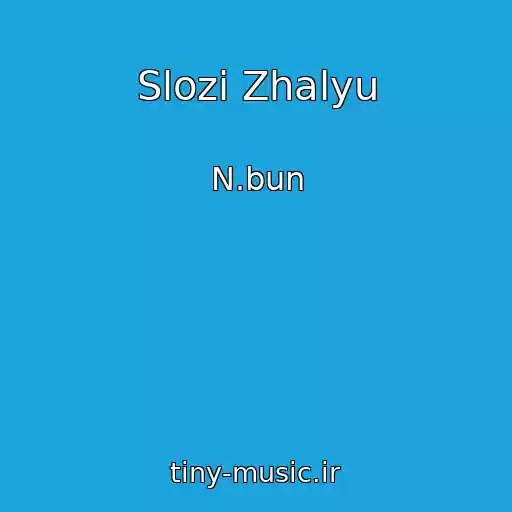 کاور آهنگ Slozi Zhalyu از N.bun