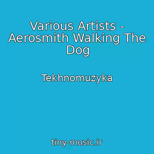 کاور آهنگ Various Artists - Aerosmith Walking The Dog از Tekhnomuzyka