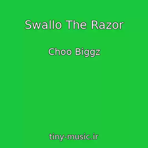 کاور آهنگ Swallo The Razor از Choo Biggz