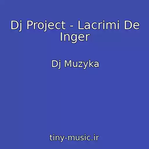 کاور آهنگ Dj Project - Lacrimi De Inger از Dj Muzyka