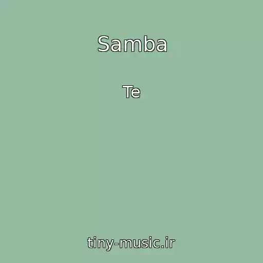 کاور آهنگ Samba از Te