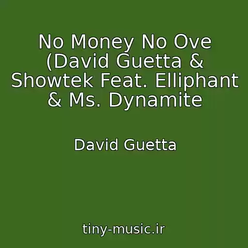 کاور آهنگ No Money No Ove (David Guetta & Showtek Feat. Elliphant & Ms. Dynamite از David Guetta