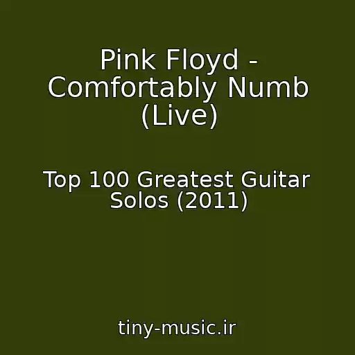 کاور آهنگ Pink Floyd - Comfortably Numb (Live) از Top 100 Greatest Guitar Solos (2011)