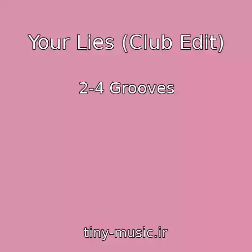 کاور آهنگ Your Lies (Club Edit) از 2-4 Grooves