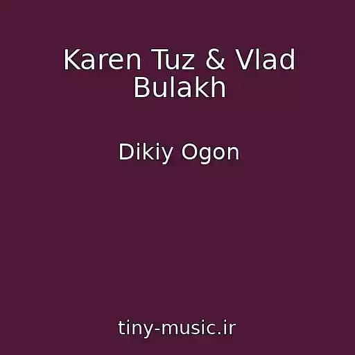 کاور آهنگ Karen Tuz & Vlad Bulakh از Dikiy Ogon