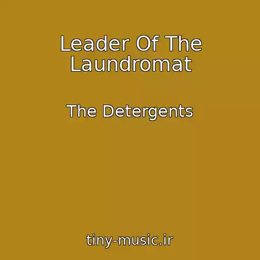 کاور آهنگ Leader Of The Laundromat از The Detergents
