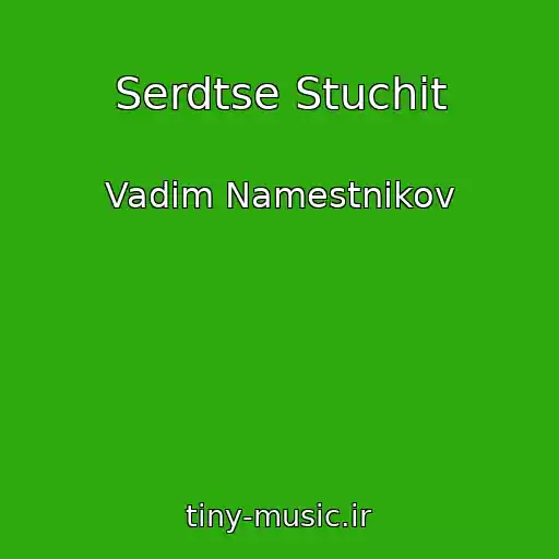 کاور آهنگ Serdtse Stuchit از Vadim Namestnikov
