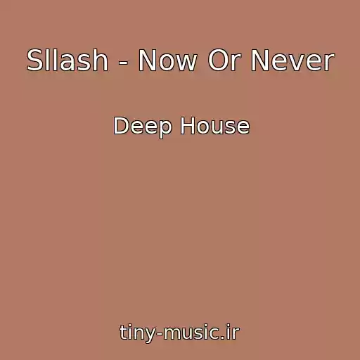 کاور آهنگ Sllash - Now Or Never از Deep House