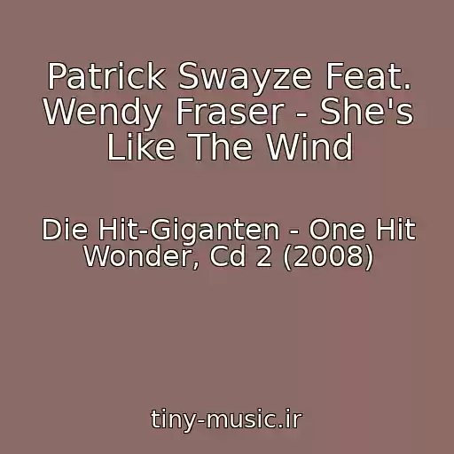 کاور آهنگ Patrick Swayze Feat. Wendy Fraser - She's Like The Wind از Die Hit-Giganten - One Hit Wonder, Cd 2 (2008)