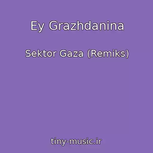 کاور آهنگ Ey Grazhdanina از Sektor Gaza (Remiks)