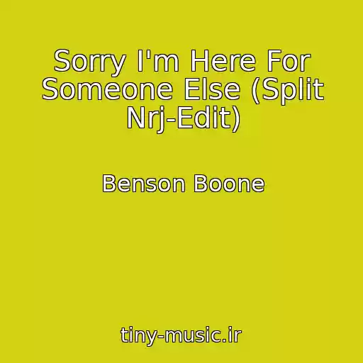کاور آهنگ Sorry I'm Here For Someone Else (Split Nrj-Edit) از Benson Boone