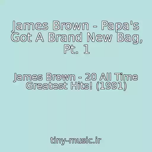کاور آهنگ James Brown - Papa's Got A Brand New Bag, Pt. 1 از James Brown - 20 All Time Greatest Hits! (1991)