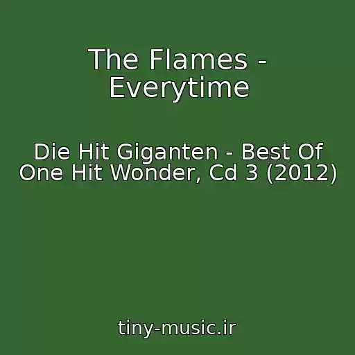 کاور آهنگ The Flames - Everytime از Die Hit Giganten - Best Of One Hit Wonder, Cd 3 (2012)