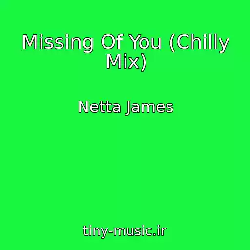 کاور آهنگ Missing Of You (Chilly Mix) از Netta James