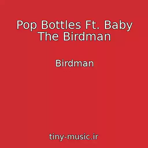 کاور آهنگ Pop Bottles Ft. Baby The Birdman از Birdman