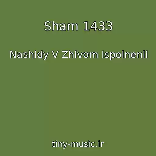 کاور آهنگ Sham 1433 از Nashidy V Zhivom Ispolnenii