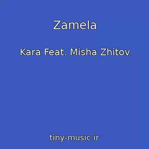 کاور آهنگ Zamela از Kara Feat. Misha Zhitov