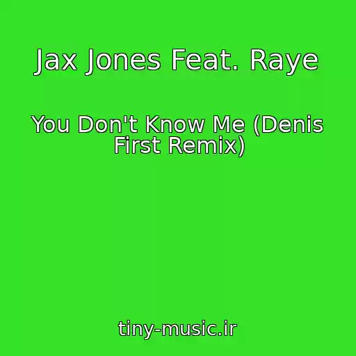کاور آهنگ Jax Jones Feat. Raye از You Don't Know Me (Denis First Remix)