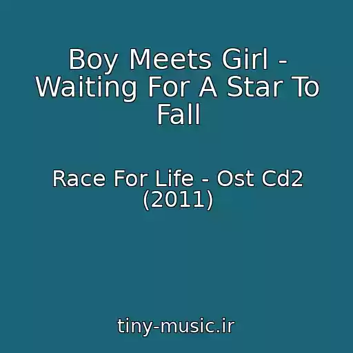 کاور آهنگ Boy Meets Girl - Waiting For A Star To Fall از Race For Life - Ost Cd2 (2011)
