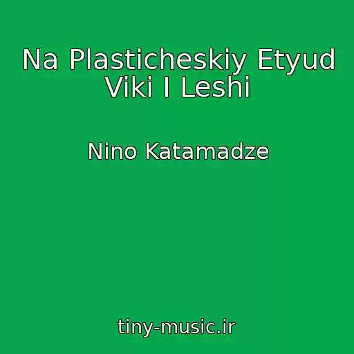 کاور آهنگ Na Plasticheskiy Etyud Viki I Leshi از Nino Katamadze