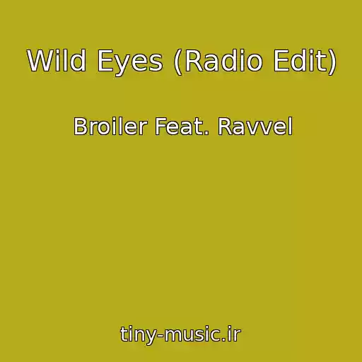 کاور آهنگ Wild Eyes (Radio Edit) از Broiler Feat. Ravvel