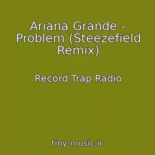 کاور آهنگ Ariana Grande - Problem (Steezefield Remix) از Record Trap Radio