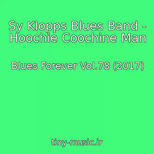 کاور آهنگ Sy Klopps Blues Band - Hoochie Coochine Man از Blues Forever Vol.78 (2017)
