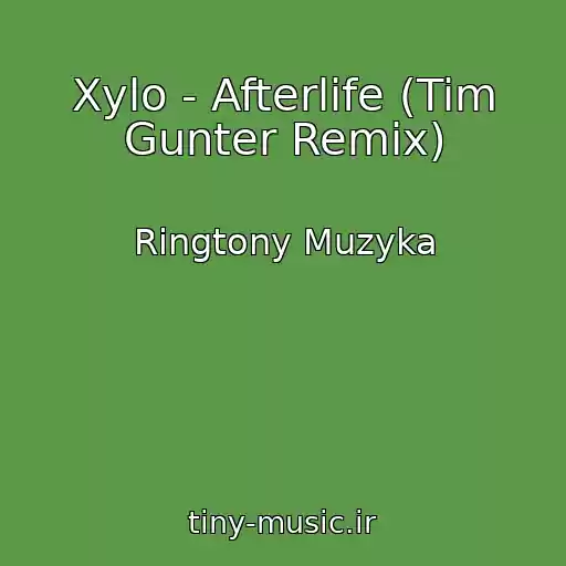 کاور آهنگ Xylo - Afterlife (Tim Gunter Remix) از Ringtony Muzyka