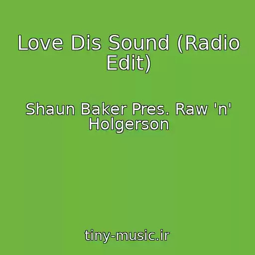 کاور آهنگ Love Dis Sound (Radio Edit) از Shaun Baker Pres. Raw 'n' Holgerson