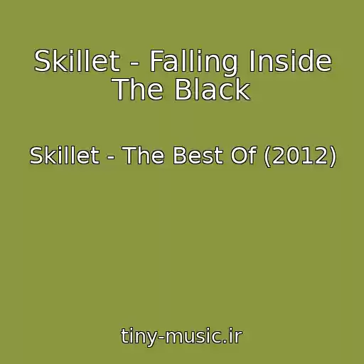 کاور آهنگ Skillet - Falling Inside The Black از Skillet - The Best Of (2012)