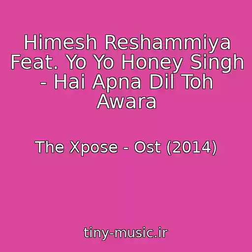 کاور آهنگ Himesh Reshammiya Feat. Yo Yo Honey Singh - Hai Apna Dil Toh Awara از The Xpose - Ost (2014)