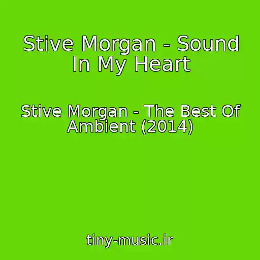 کاور آهنگ Stive Morgan - Sound In My Heart از Stive Morgan - The Best Of Ambient (2014)