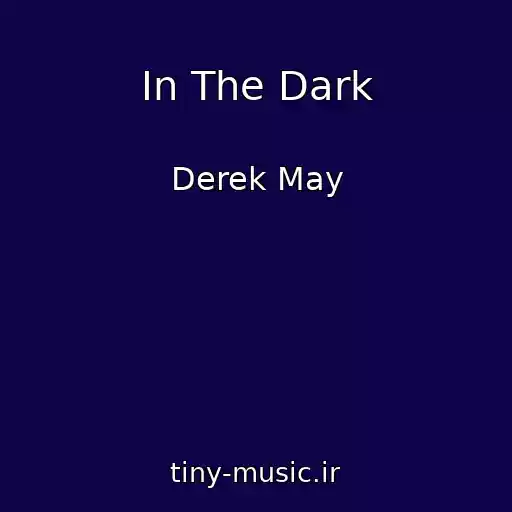 کاور آهنگ In The Dark از Derek May