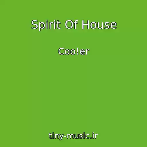 کاور آهنگ Spirit Of House از Coo!er