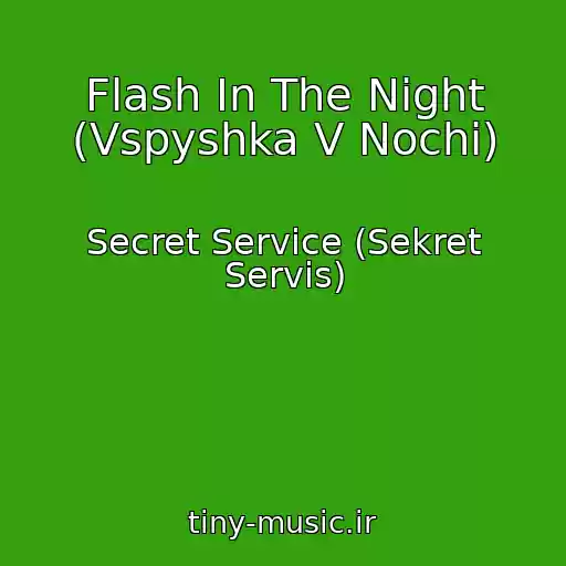 کاور آهنگ Flash In The Night (Vspyshka V Nochi) از Secret Service (Sekret Servis)